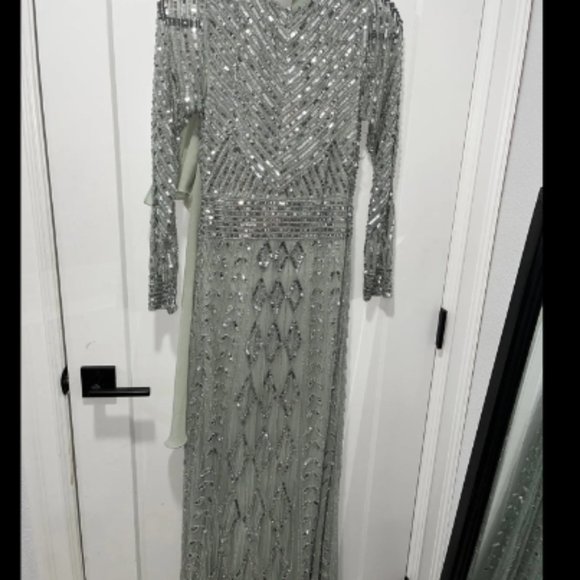 Frock and Frill Amelia Rose - Priscilla, Sage Silver Gown WITH CAPE ($300 value) - Picture 9 of 15